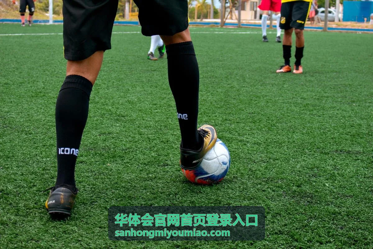 华体会官网首页登录入口 三红蜜柚苗科普知识