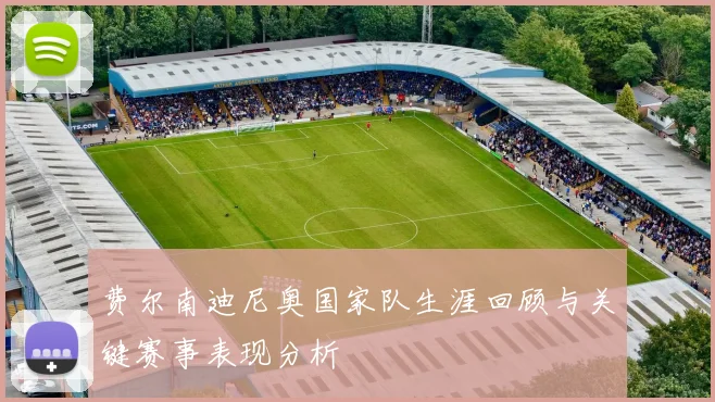 费尔南迪尼奥国家队生涯回顾与关键赛事表现分析