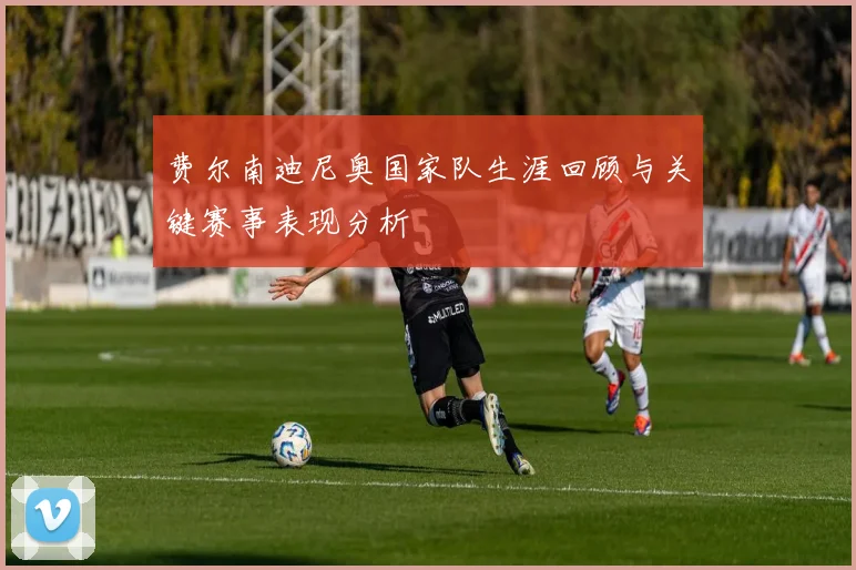 费尔南迪尼奥国家队生涯回顾与关键赛事表现分析