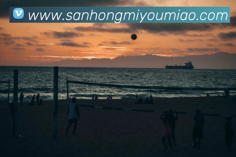 开云手机入口官网服务体系