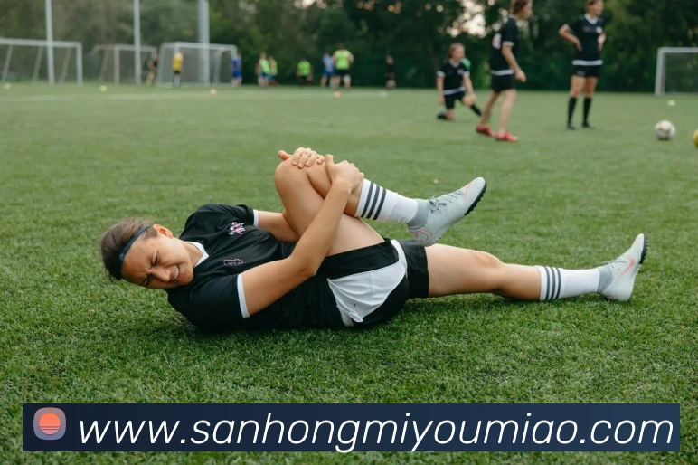 多媒体互动体验