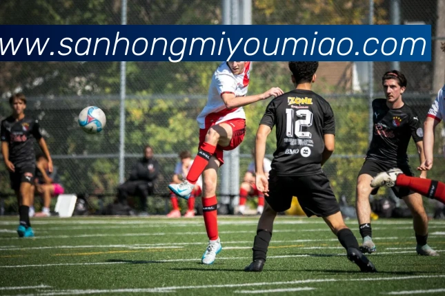 开云手机入口官网APP 体育赛事宣传图